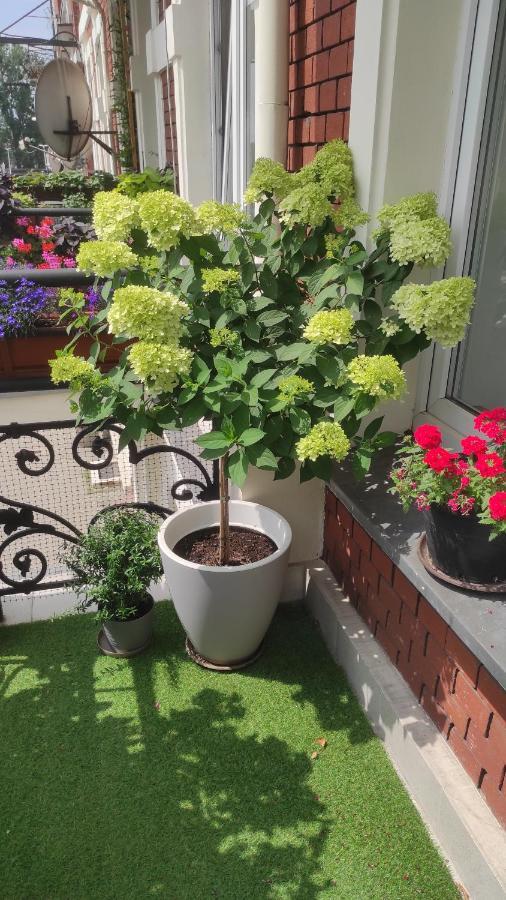 Apartament Przy Galerii Forum Gliwice Witkiewicza Buitenkant foto